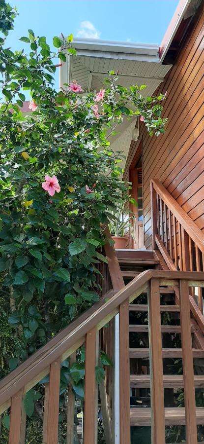 Bungalow Mangifera Proche De La Plage Le Diamant Luaran gambar
